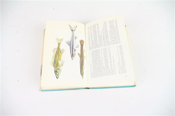 Grote foto thieme hengel boek d. vogt boek sport en fitness vissport