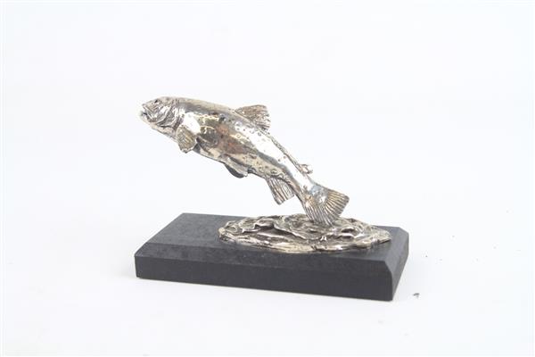 Grote foto decoratie beeldje beekforel sport en fitness vissport
