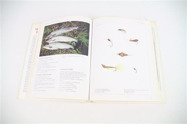 Grote foto the world best trout flies john robbets boek sport en fitness vissport