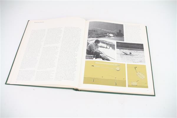 Grote foto sportvissen boekpost boek sport en fitness vissport