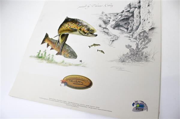 Grote foto dreamwaters 2008 flyfishing gallery kalender sport en fitness vissport