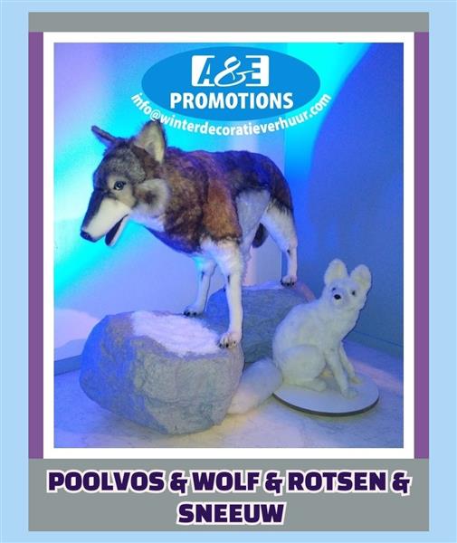 Grote foto huur poolwolf setting winterfeest items gent diensten en vakmensen entertainment