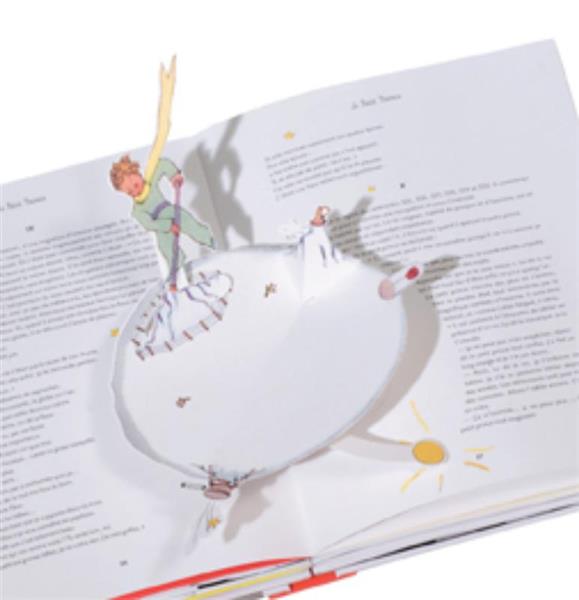 Grote foto de kleine prins boeken literatuur