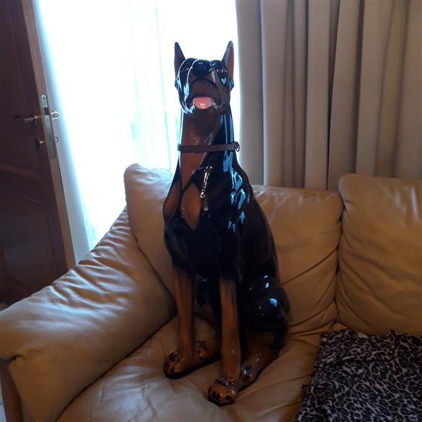 Grote foto doberman retro verzamelen beelden en beeldjes