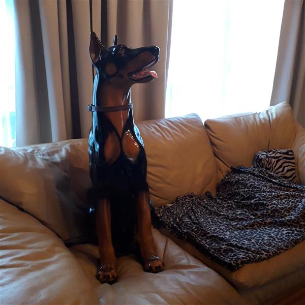 Grote foto doberman retro verzamelen beelden en beeldjes