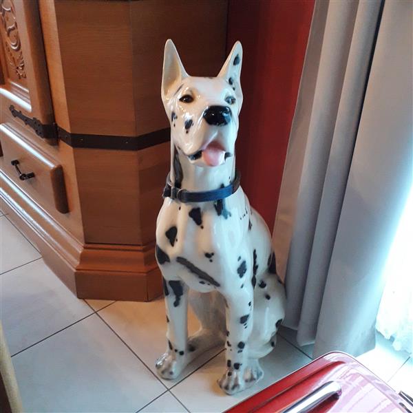 Grote foto deense dog verzamelen beelden en beeldjes