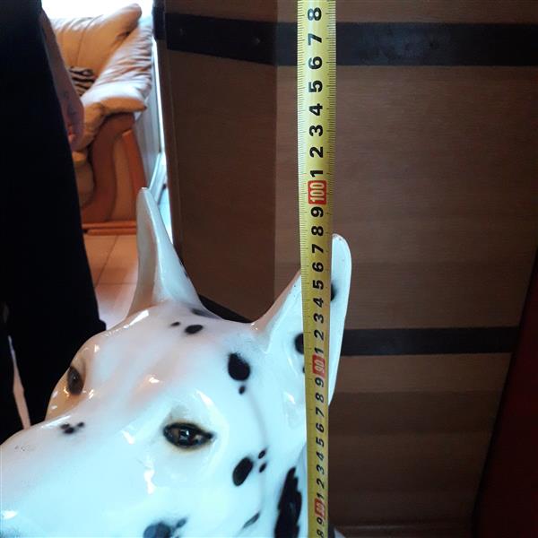 Grote foto deense dog verzamelen beelden en beeldjes