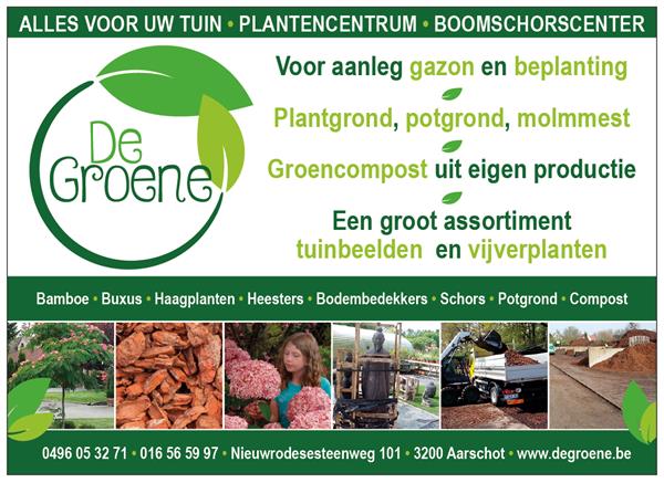 Grote foto paard in batta steen tuin en terras tuindecoratie