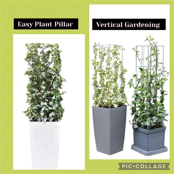 Grote foto draadrekken hekwerk draadrekken plantensteun tuin en terras hekken en schuttingen