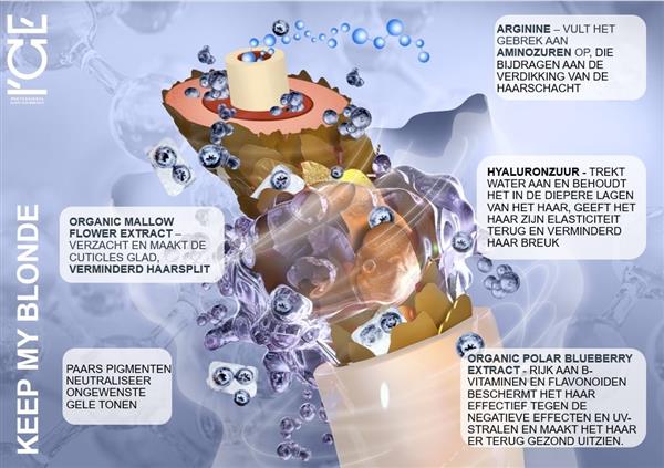 Grote foto ice professional duo set keep my blonde shampoo conditioner 2 x 250ml kleding dames sieraden