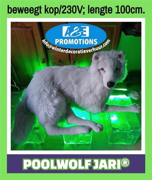 Grote foto poolwolf verhuur bewegende poolfiguren xl hasselt diensten en vakmensen entertainment