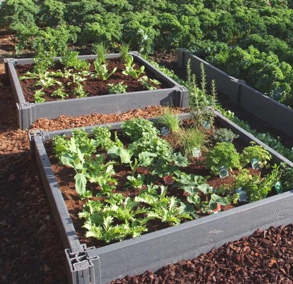 Grote foto kunststof moestuinbak in vele maten tuin en terras bloembakken