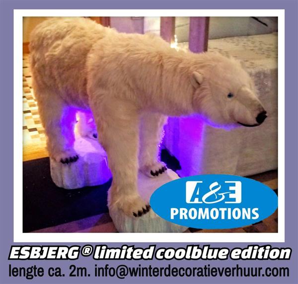 Grote foto lapland ijsbar huur nijmegen arnhem t. 0599 416200 diversen kerst