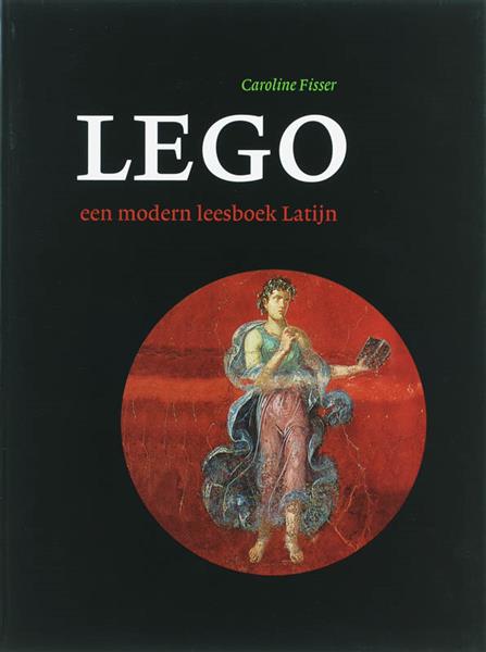 Grote foto lego boeken overige boeken