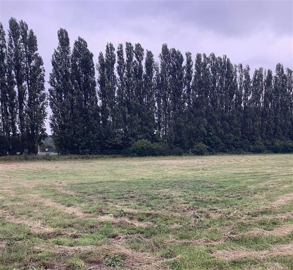 Grote foto landbouwgrond te koop aan straatkant pachtvrij agrarisch landbouw