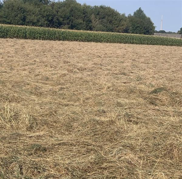 Grote foto landbouwgrond te koop aan straatkant pachtvrij agrarisch landbouw