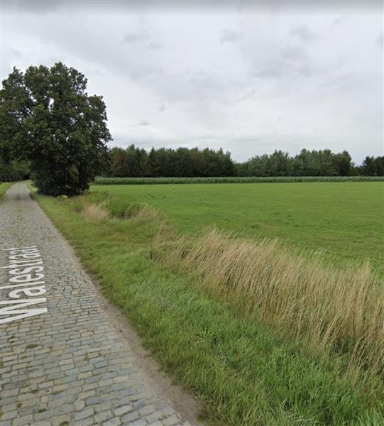 Grote foto landbouwgrond te koop aan straatkant pachtvrij agrarisch landbouw