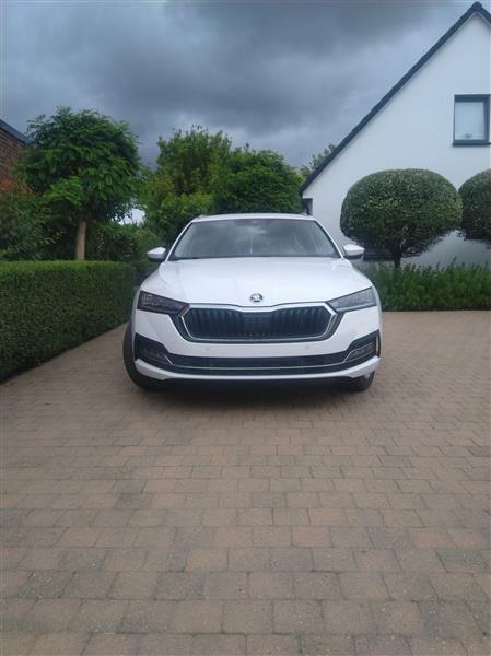 Grote foto skoda octavia combi mild hybride geen plug in auto skoda