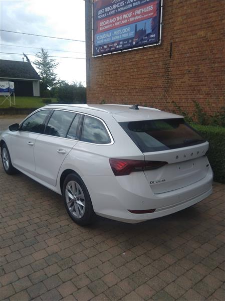 Grote foto skoda octavia combi mild hybride geen plug in auto skoda