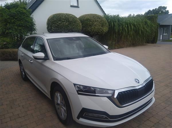 Grote foto skoda octavia combi mild hybride geen plug in auto skoda