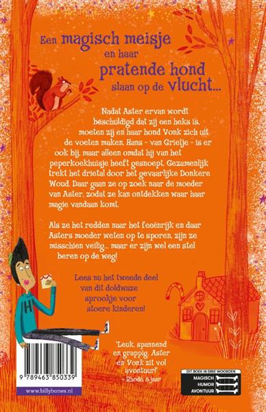 Grote foto fee n in het woud aster en vonk 2 boeken jeugd 13 jaar en ouder