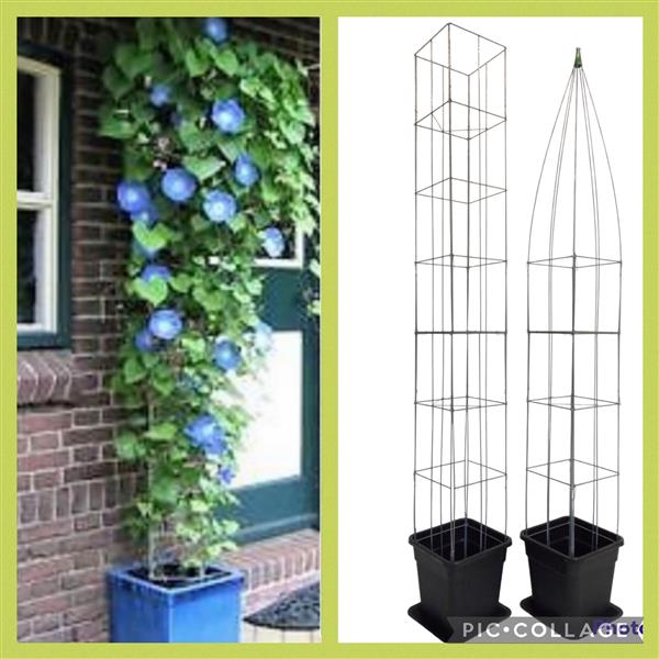 Grote foto tuinrekken plantenrekken klimplantrekken tuin en terras klimplanten