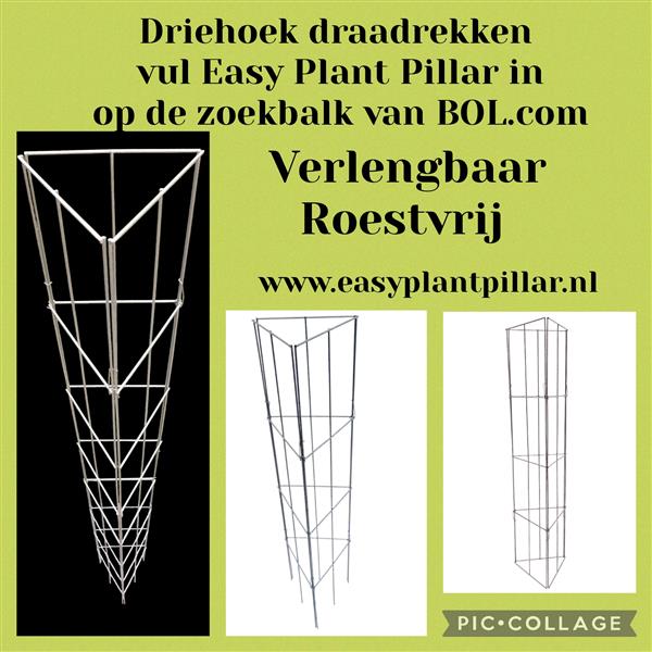 Grote foto tuinrekken plantenrekken klimplantrekken tuin en terras klimplanten