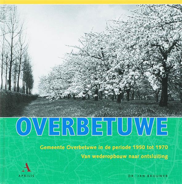 Grote foto overbetuwe uijt hoven dorpen en steden boeken geschiedenis wereld
