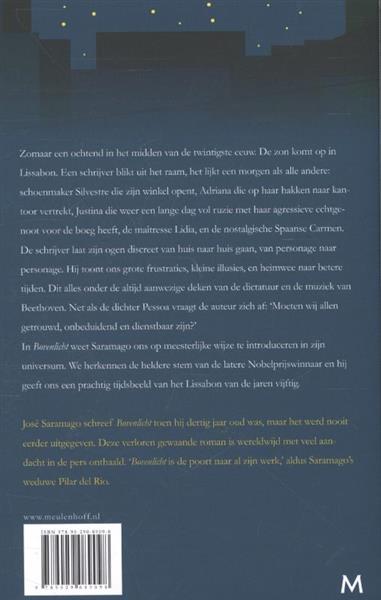 Grote foto bovenlicht boeken overige boeken