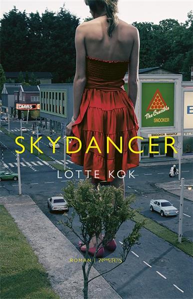 Grote foto skydancer boeken overige boeken