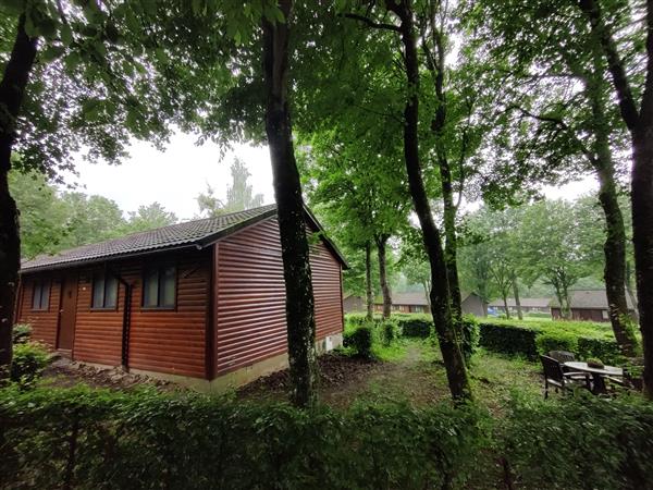 Grote foto chalet te huur in de ardennen... nabij la roche vakantie belgi