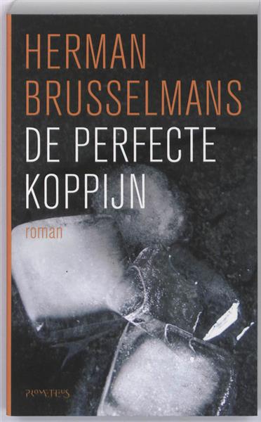 Grote foto de perfecte koppijn boeken overige boeken