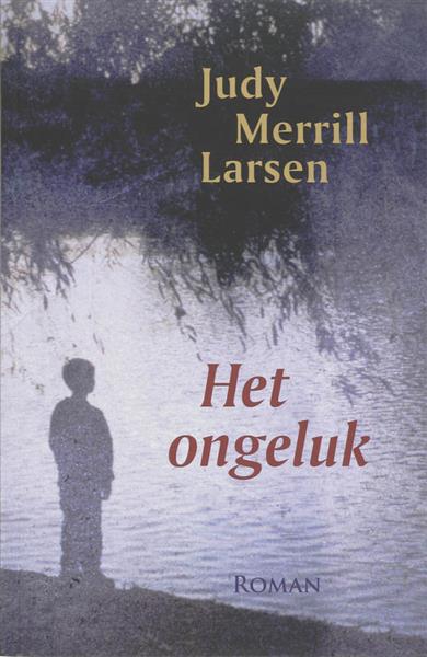 Grote foto het ongeluk boeken overige boeken