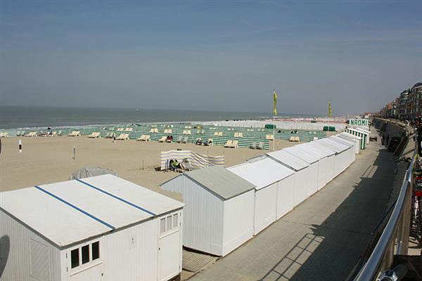 Grote foto vakantieappartement vakantie belgi