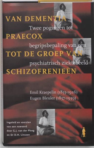 Grote foto van dementia praecox tot de groep van schizofrenieen candide boeken politiek en maatschappij