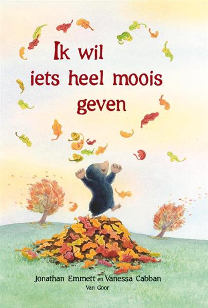 Grote foto ik wil iets heel moois geven boeken overige boeken