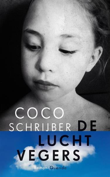 Grote foto de luchtvegers boeken overige boeken