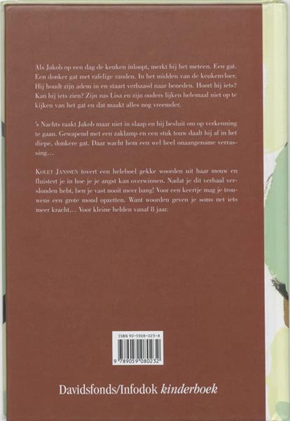 Grote foto het gat davidsfonds infodok kinderboeken boeken jeugd 13 jaar en ouder