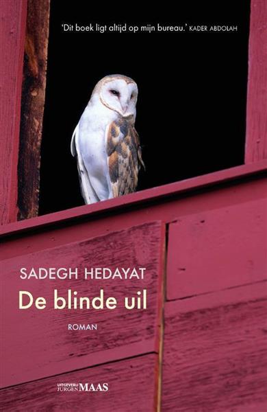 Grote foto de blinde uil boeken overige boeken