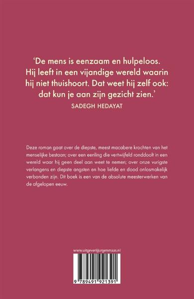 Grote foto de blinde uil boeken overige boeken
