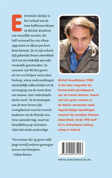 Grote foto elementaire deeltjes boeken overige boeken