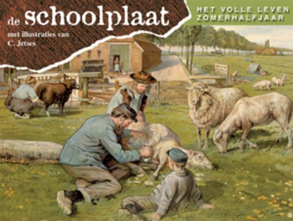 Grote foto schoolplaat het volle leven zomerhalfjaar boeken overige boeken