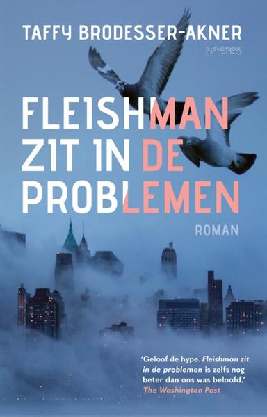 Grote foto fleishman zit in de problemen boeken overige boeken