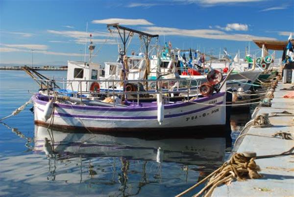 Grote foto rosas genieten van de voorjaarszon vakantie spaanse kust