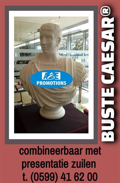 Grote foto kanon replica verhuur romeinse rijk props genk diversen versiering