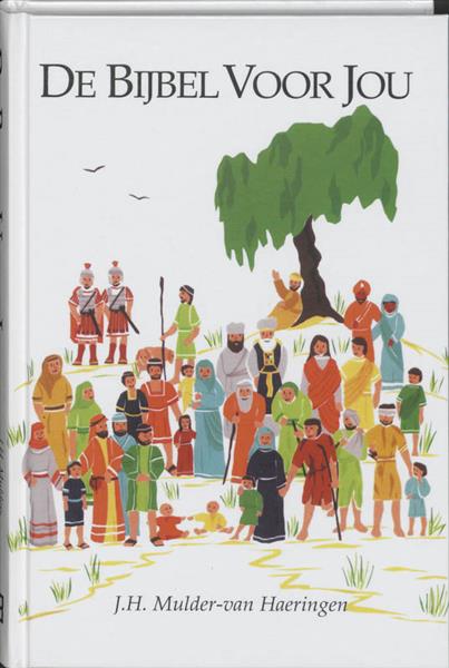 Grote foto de bijbel voor jou boeken overige boeken