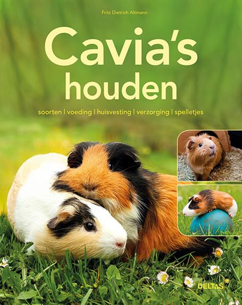 Grote foto cavia houden boeken hobby en vrije tijd