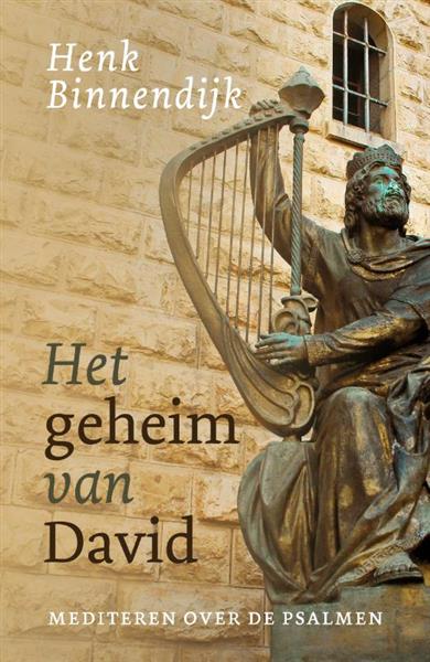 Grote foto het geheim van david boeken overige boeken