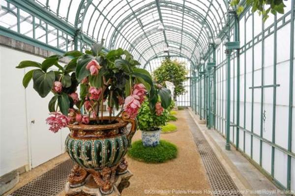 Grote foto 2x entree serres royales de laeken tickets en kaartjes overige