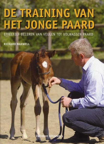Grote foto de training van het jonge paard boeken hobby en vrije tijd